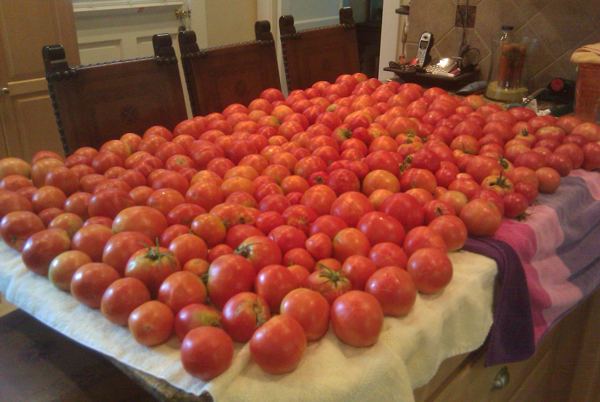 102663=5615-257194_1957452890128_1056921