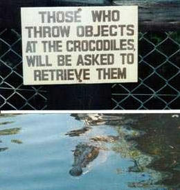 10746=281-crocodile retrieve.jpg