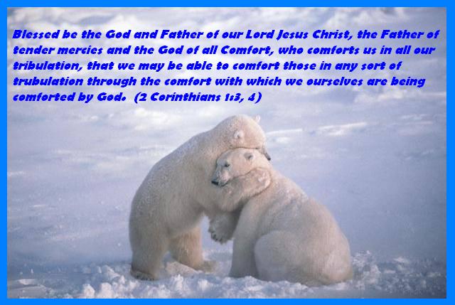 10780=294-Polar 10.jpg