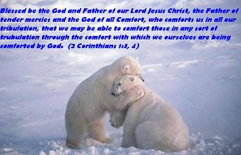 10780=295-Polar 10..JPG