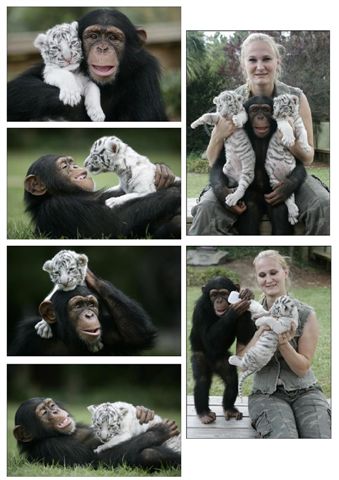 108417=5935-Anjana 1.jpg