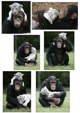 108417=5936-Anjana 2.jpg