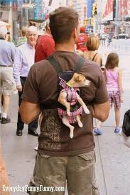 113689=6232-images (11).jpg