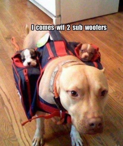 113708=6236-2 sub woofers.jpg