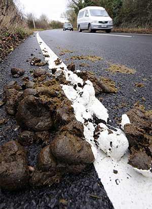 116177=6398-Bad paint job....jpg