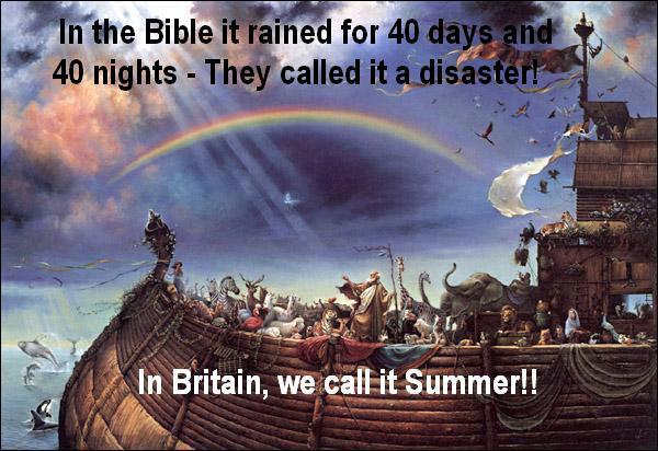 117154=6467-noahark summer.jpg