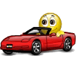 120530=6663-driving smiley.gif