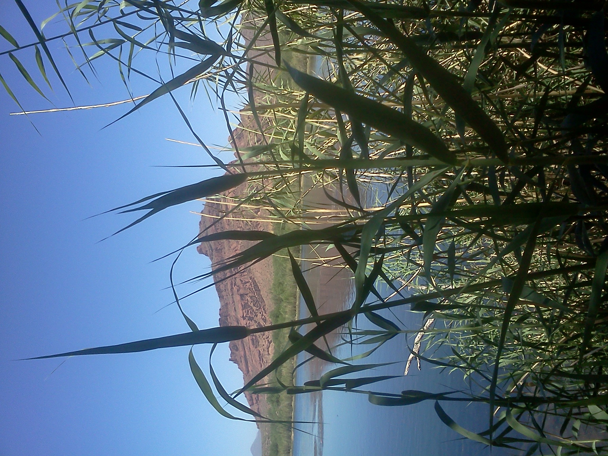 122156=6764-nice pic.jpg