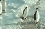 126027=7006-penguin slap back.gif