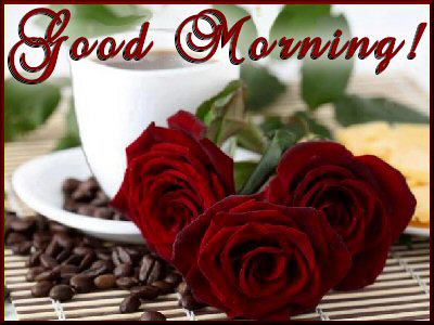 130542=7267-gOOD mORNING ROSES.jpg