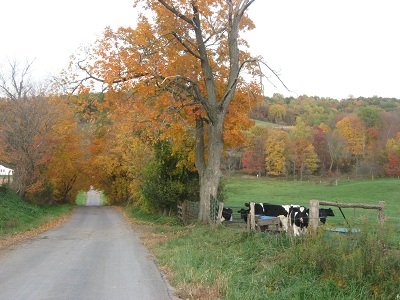 145379=7987-a country drive.jpg