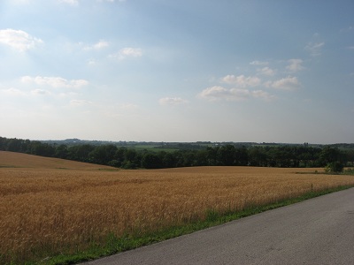 145379=7988-hiple pictures 005.JPG