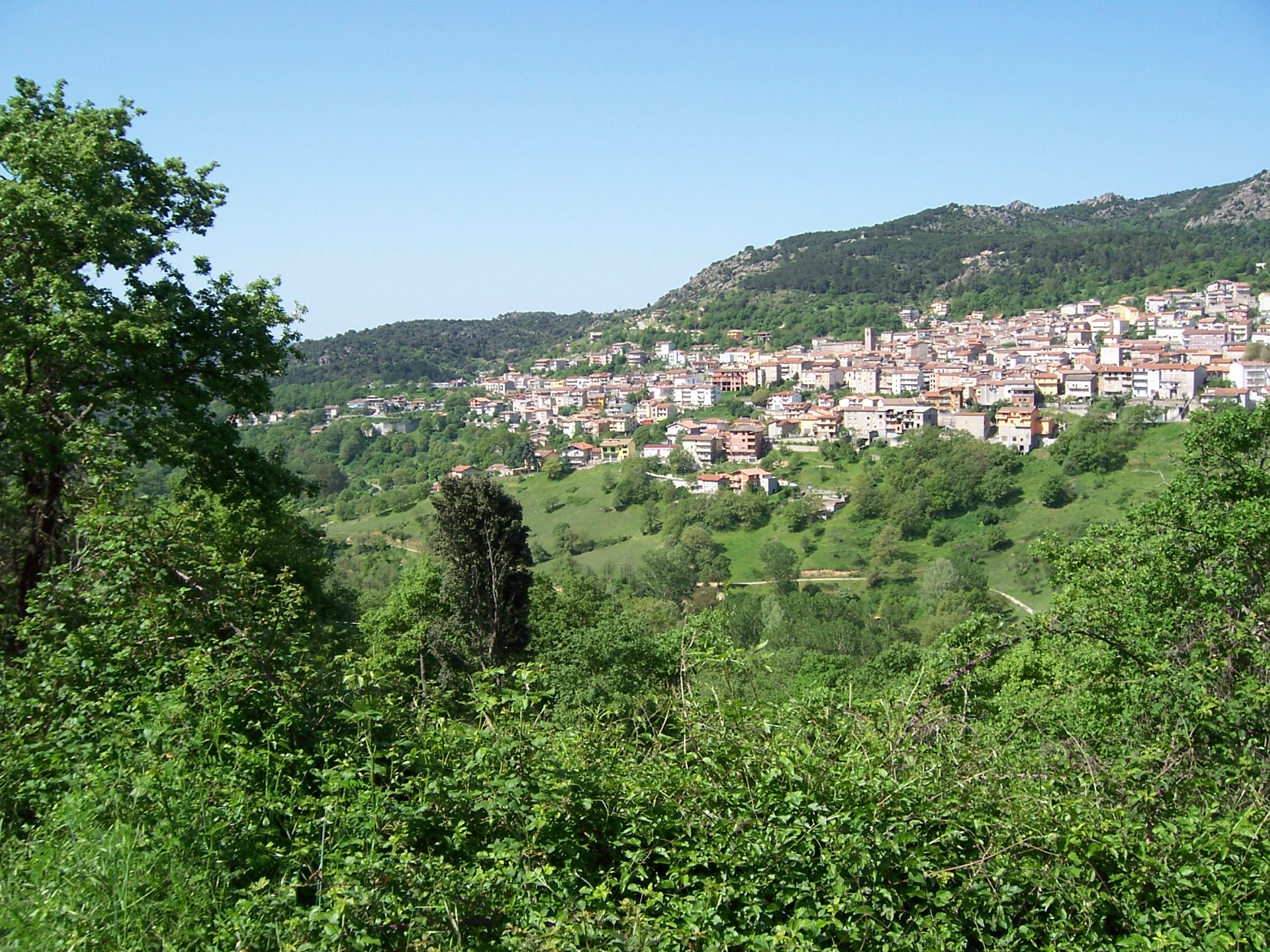 145577=8001-04. Gavoi.JPG