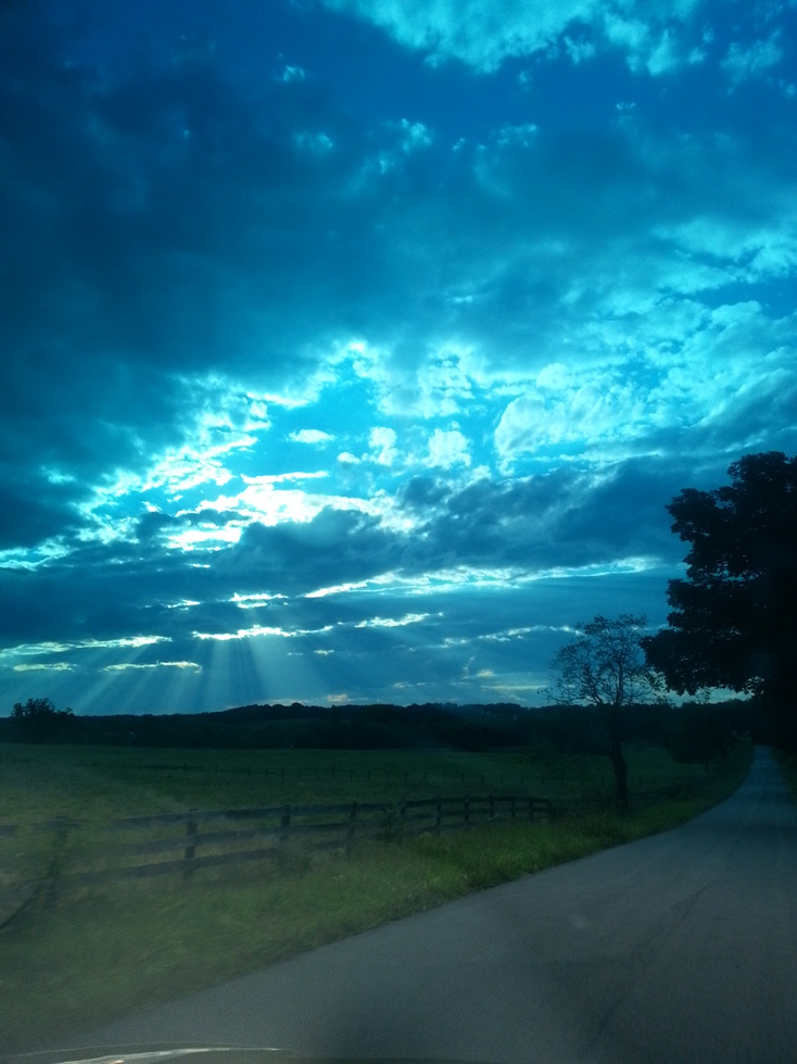 150915=8283-2012-2013 MEG 257.jpg