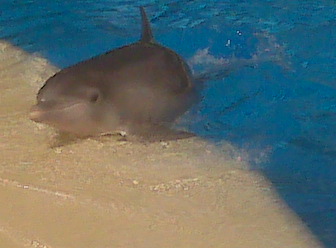 18046=471-vegas california trip 011.jpg