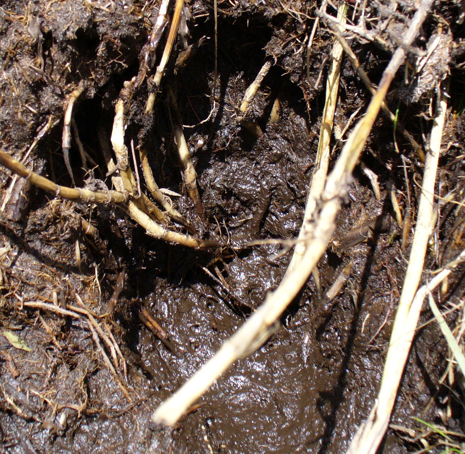 18301=490-Florida Vacation 089.jpg