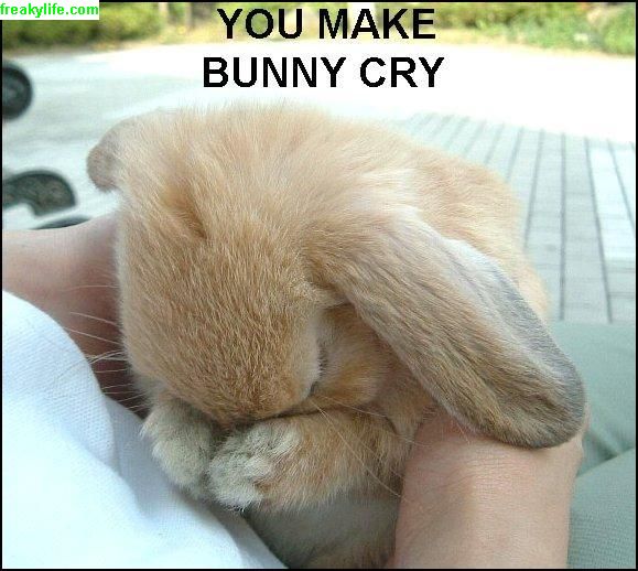 18830=531-cry bunny.jpg