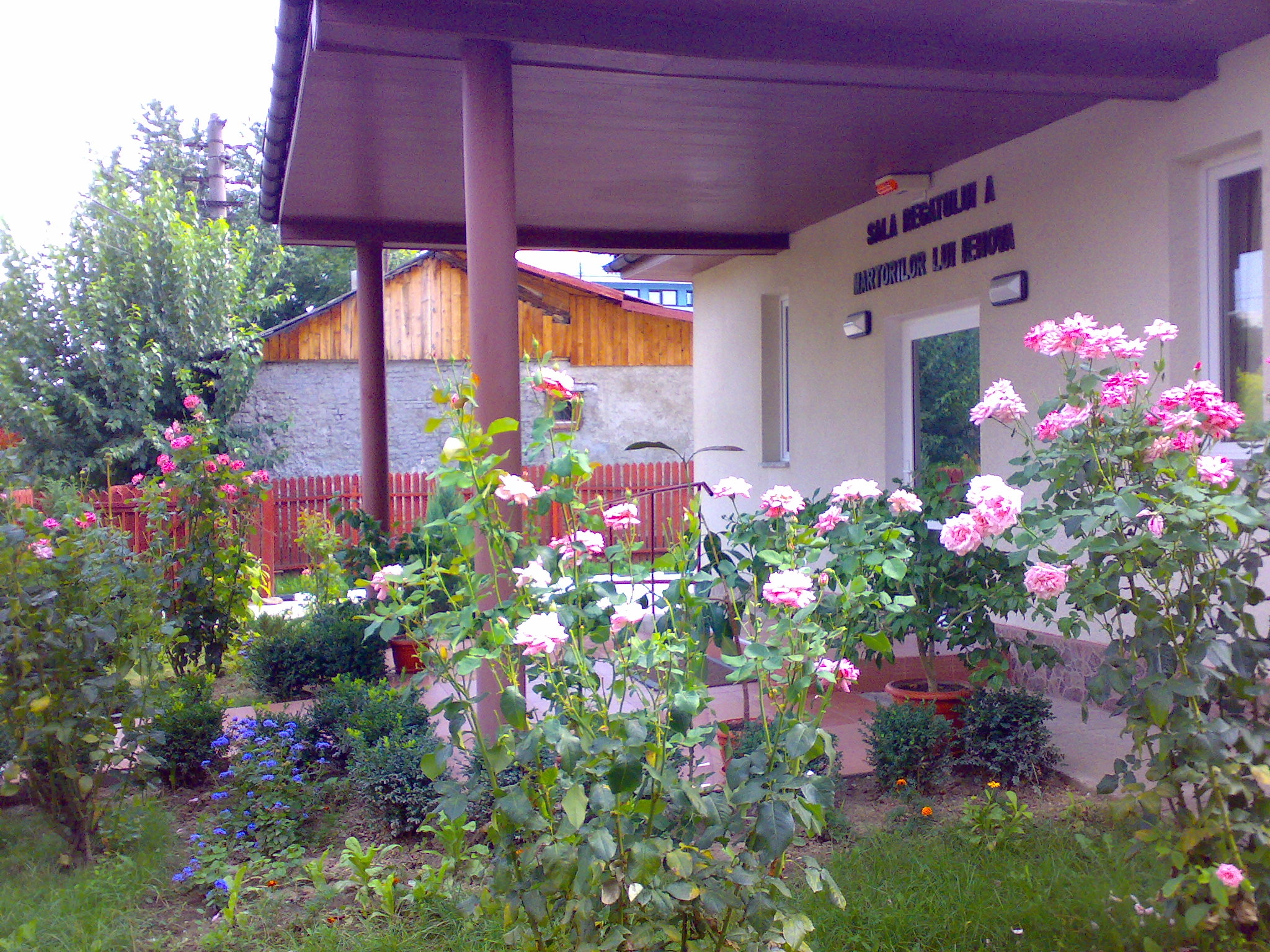 18912=542-Sala Regatului Al Martorilor L