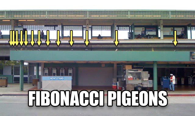 19258=567-fibonacci pigeons.jpg
