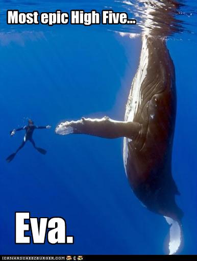 19395=574-epic high five.jpg