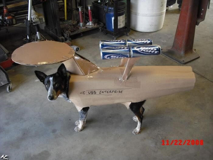 19456=581-dog uss enterprise.jpg