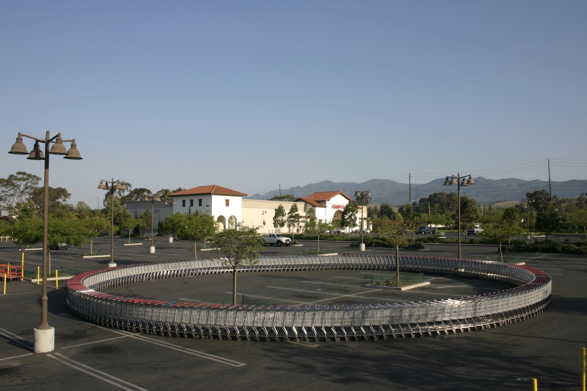 19481=582-shopping carts.jpg