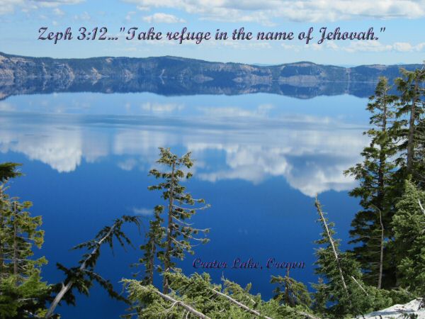 19499=584-2011 Year Text 3b.jpg