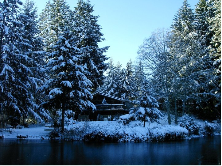 20061=621-My home in Shelton.jpg