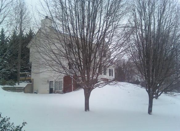 23179=745-Monday, Jan 10 2011 Georgia.jp