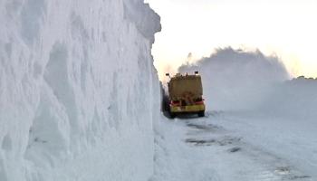 23217=753-image (36).jpg