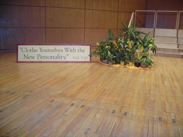 23781=771-Limerick 00000.jpg