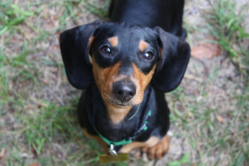 28043=935-Family Weekend 2008245 (2).JPG