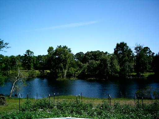 35423=1329-My back yard.JPG