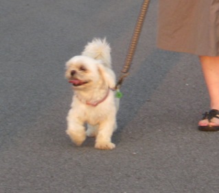 36199=1387-2009 assembly grantville 228.