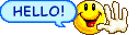 43489=1865-hello smiley.gif