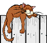 48142=2329-Cat on fence.gif