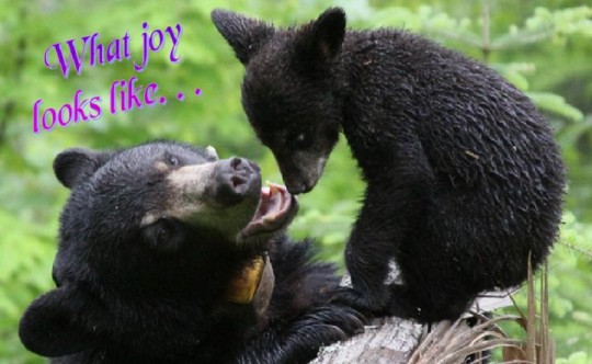 53057=2736-hopeandlilytog (540 x 332).jp