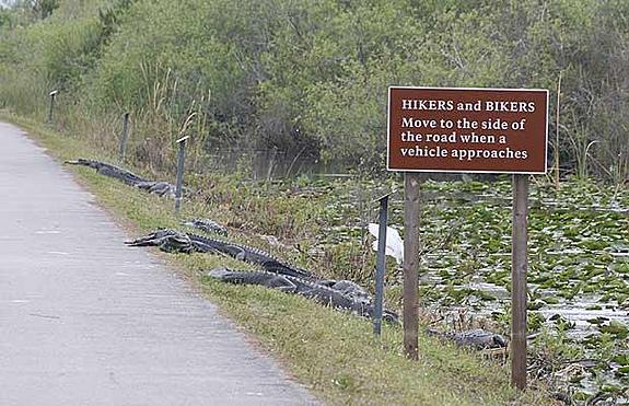 5381=85-road sign.jpg