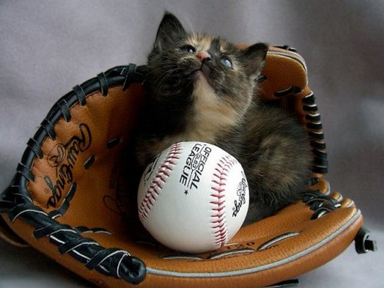 60859=3314-Baseball star.jpg