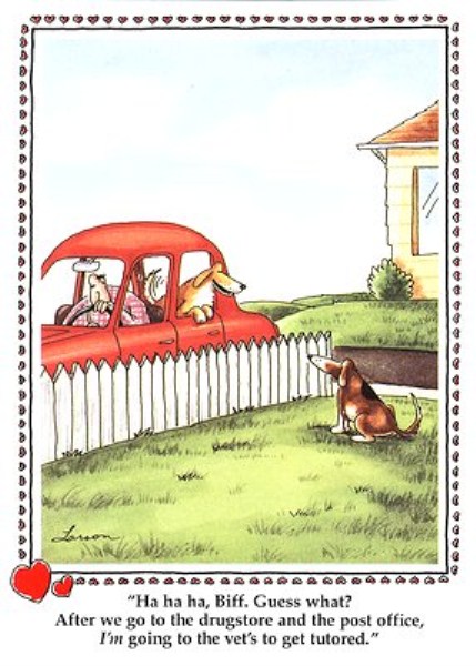 60861=3315-tutored (429 x 600).jpg