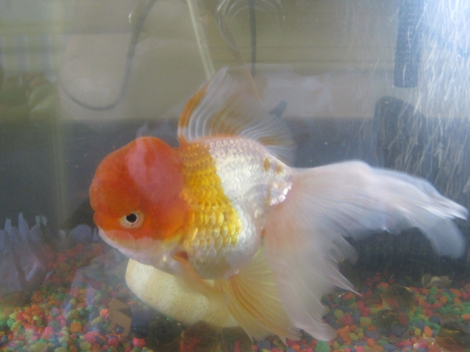 65007=3571-2009 assembly grantville 660.