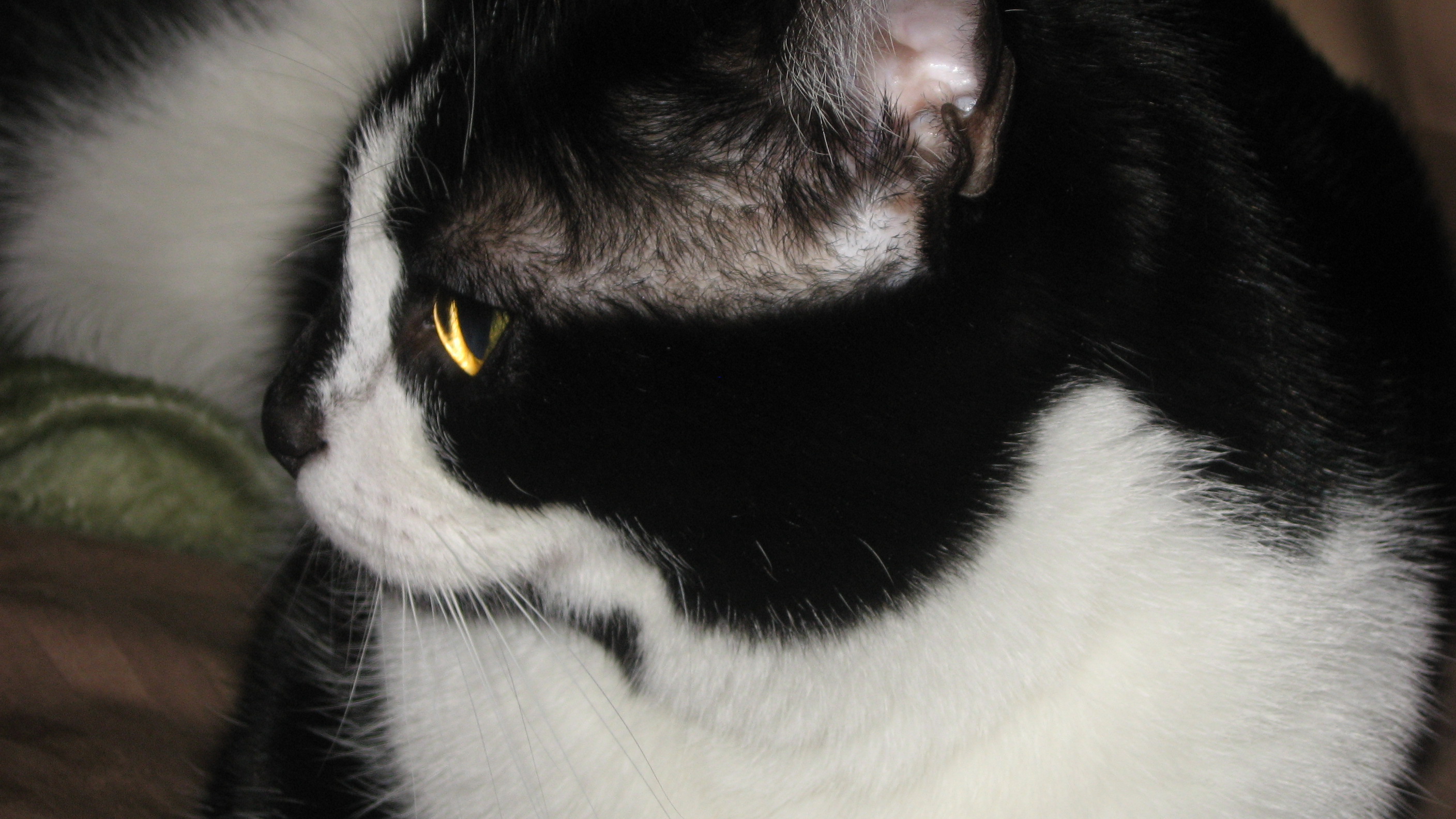 65618=3620-hiple pictures 002.JPG