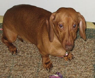 65620=3621-hiple pictures 310.JPG