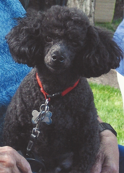 65683=3631-Prince Charles.png