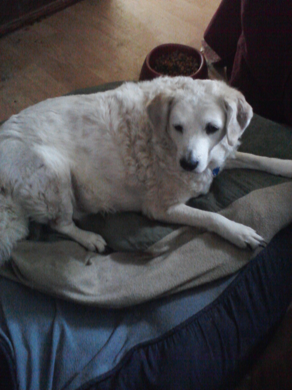 67815=3760-sprintpics 414.jpg