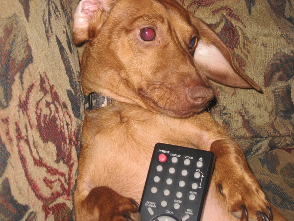 68894=3811-hiple pictures 311.JPG