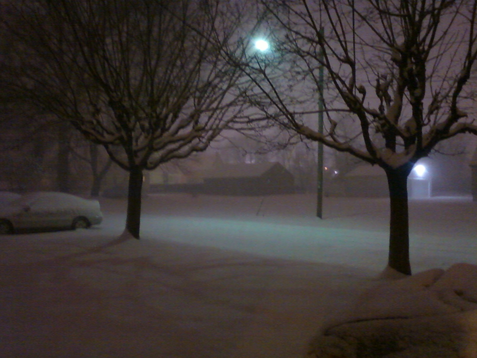 72565=4054-Back driveway.jpg