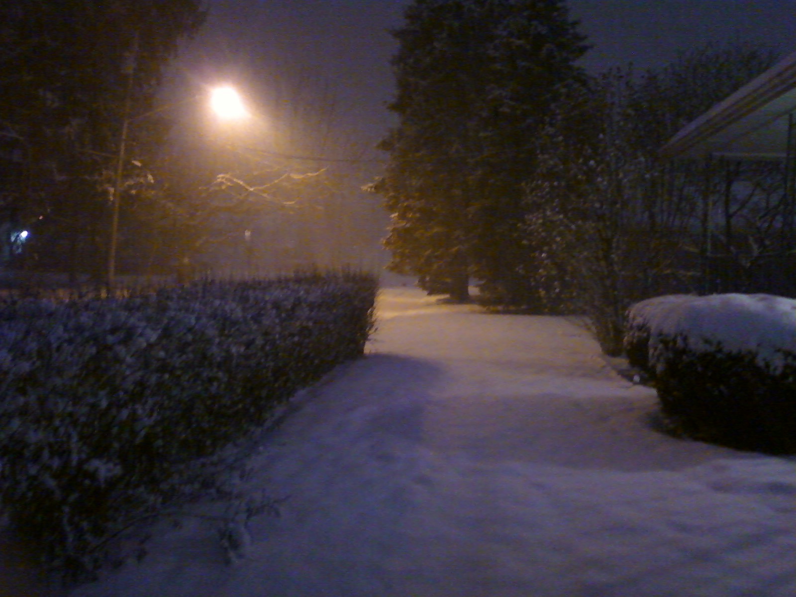 72565=4055-Front yard.jpg