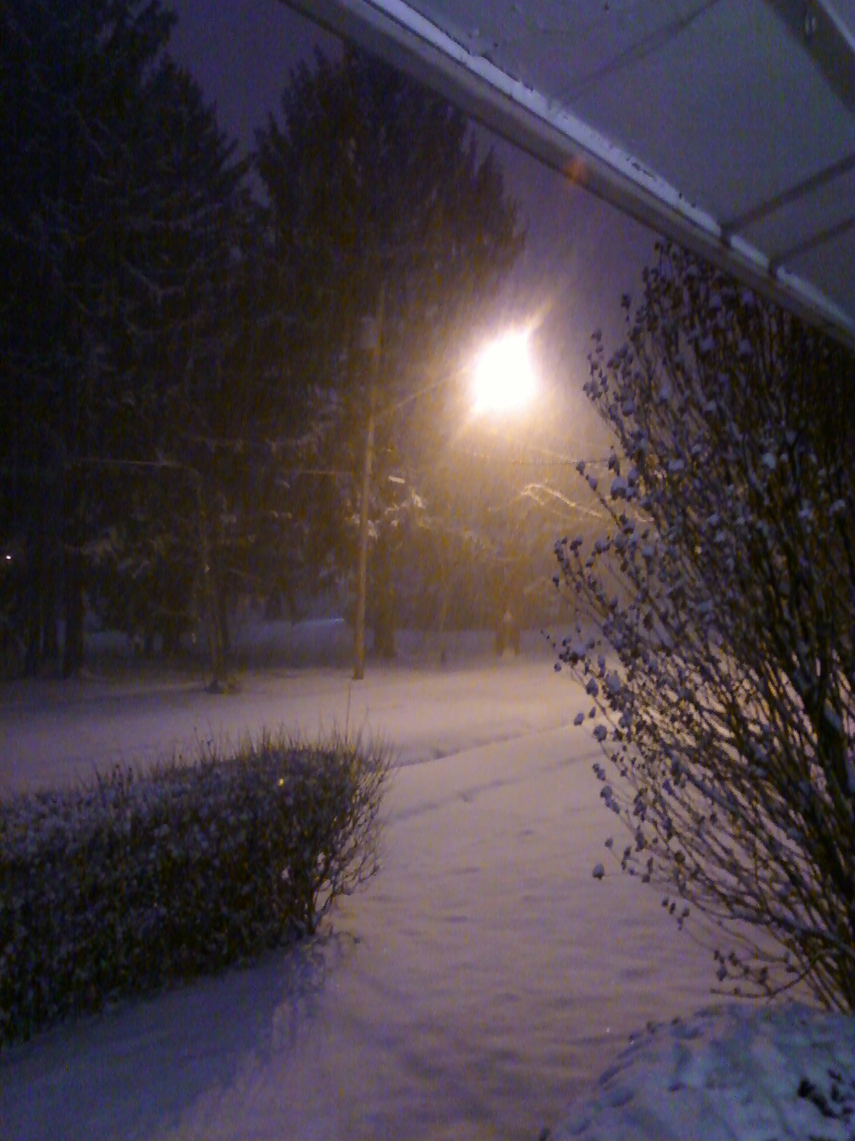 72565=4056-Off front porch.jpg