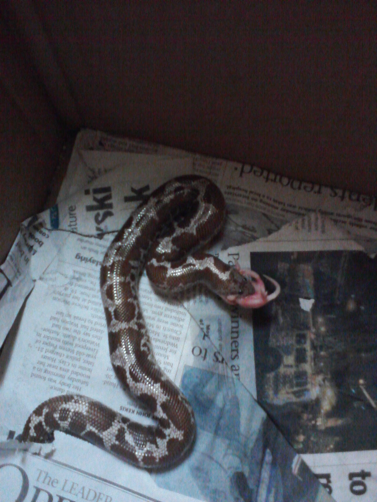 72606=4058-sprintpics 368.jpg